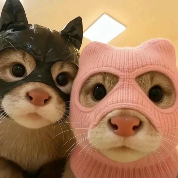 Couple DP Cute aesthetic edit