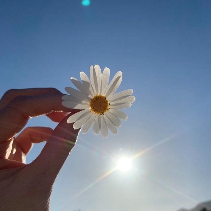 Cute DP Nature background
