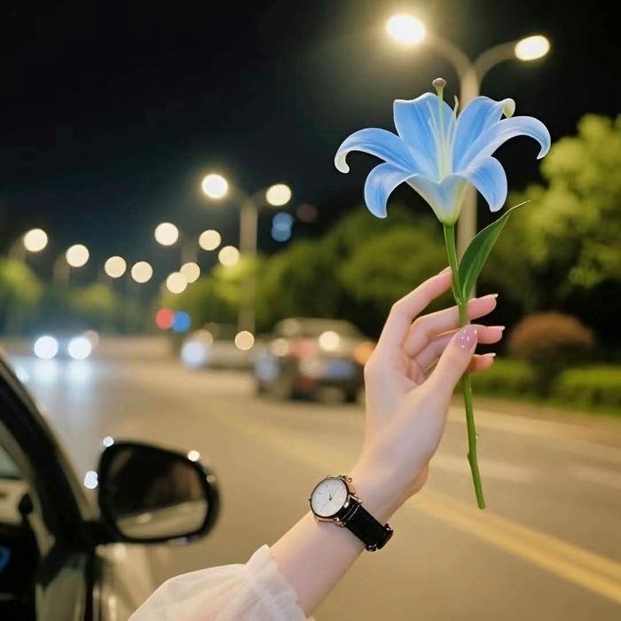 Cute DP Nature view