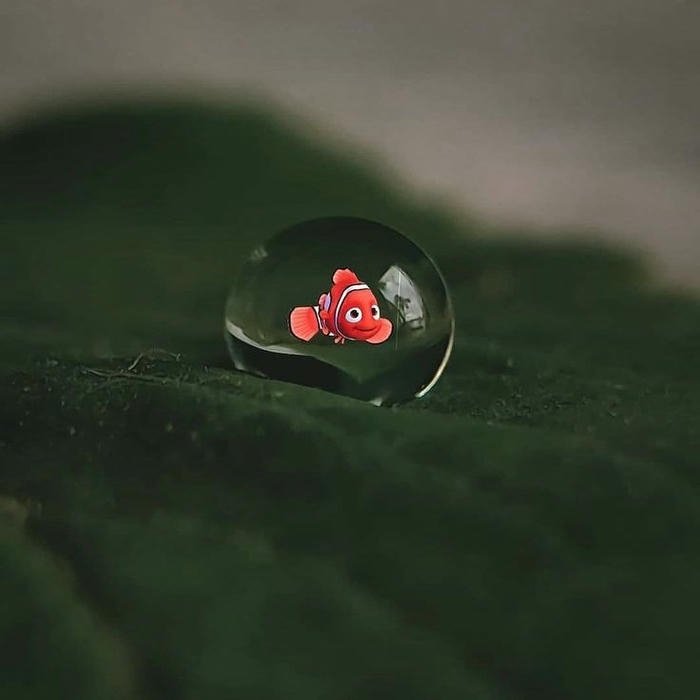 Cute Nature DP image