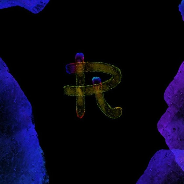 R Letter DP image