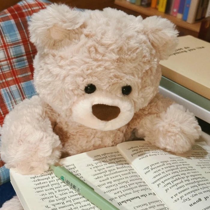 Teddy Bear Cute DP style