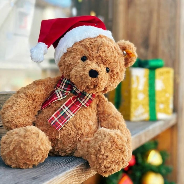 Teddy Cute Bear DP icon