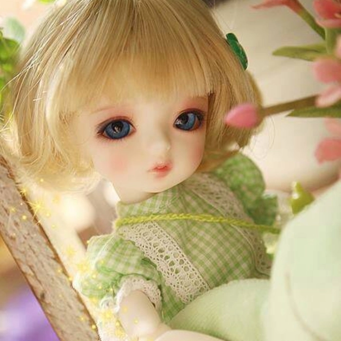 dp dolls images