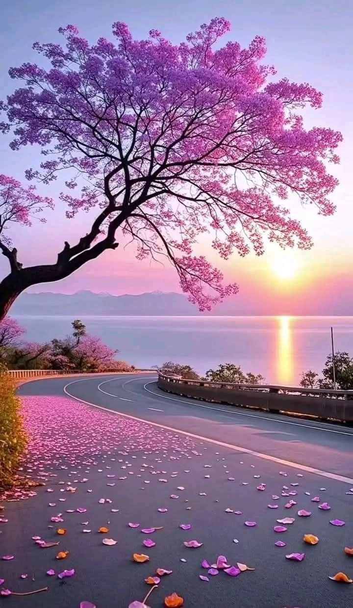 cute nature images for dp