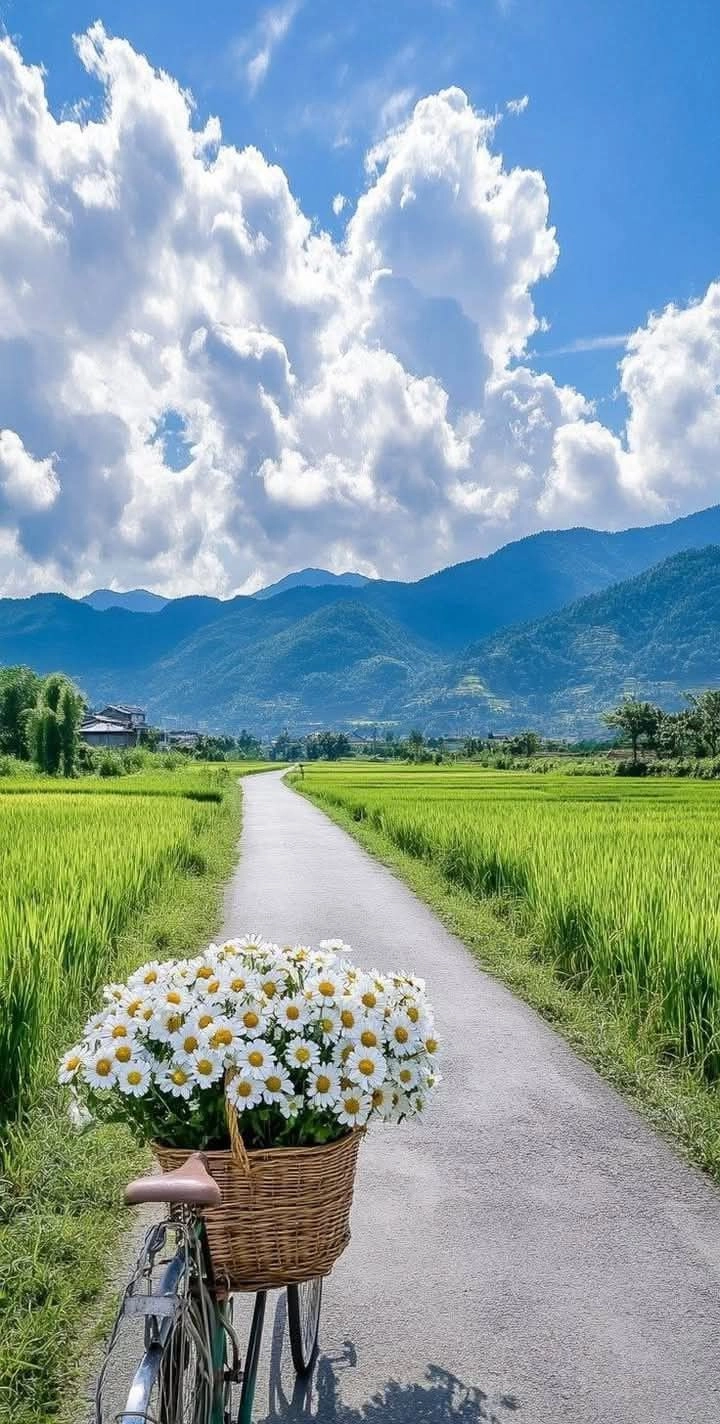 nature cute dp for whatsapp