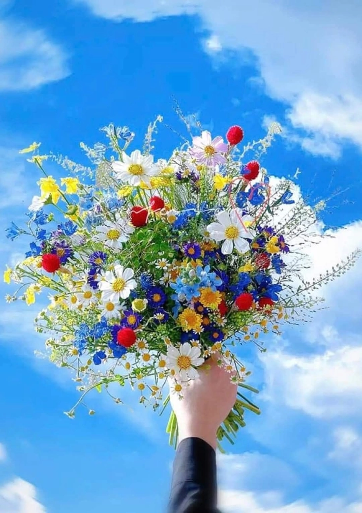 nature cute dp