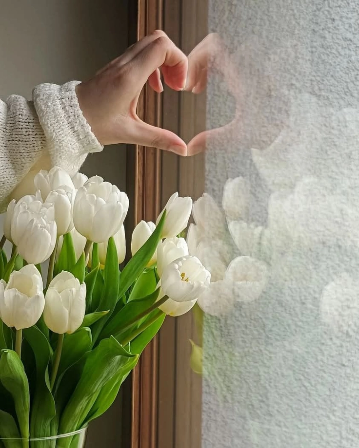 cute nature scenery dp