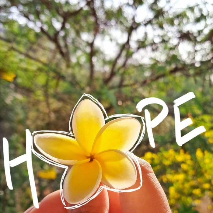flowers hd dp 