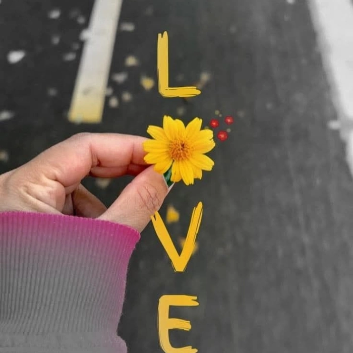 whatsapp dp flowers 