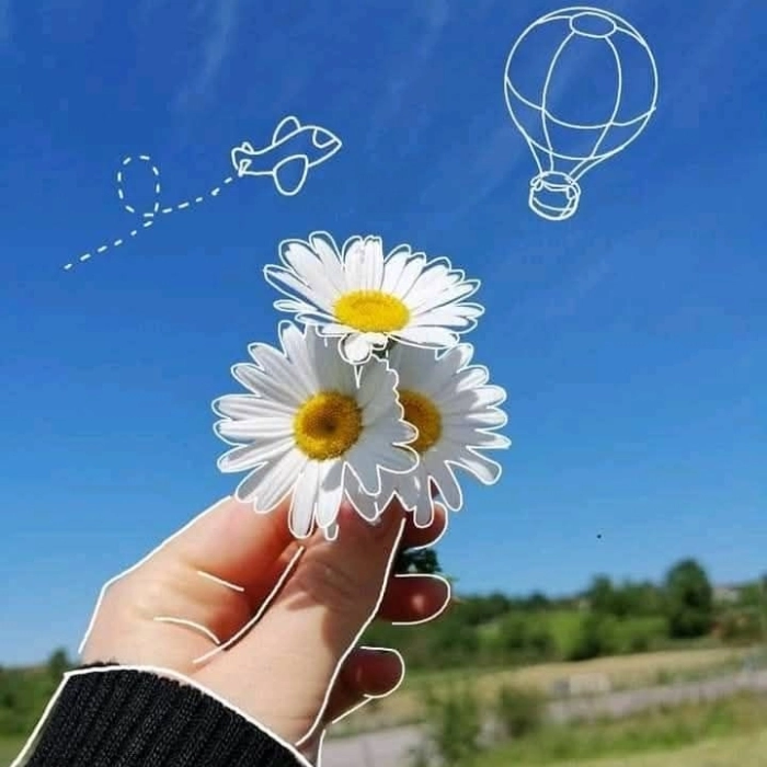 images of flowers for dp 