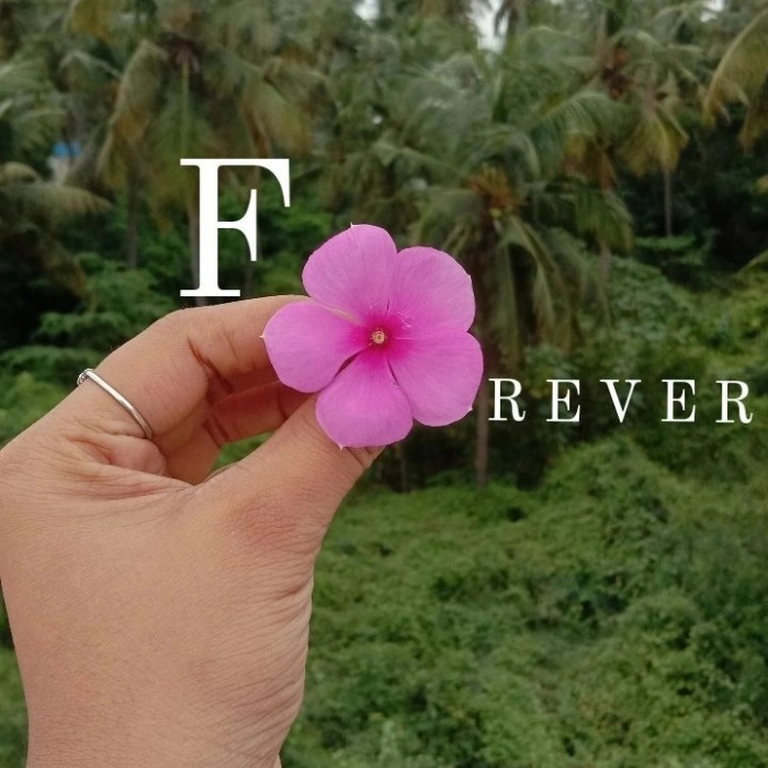 best flowers dp 