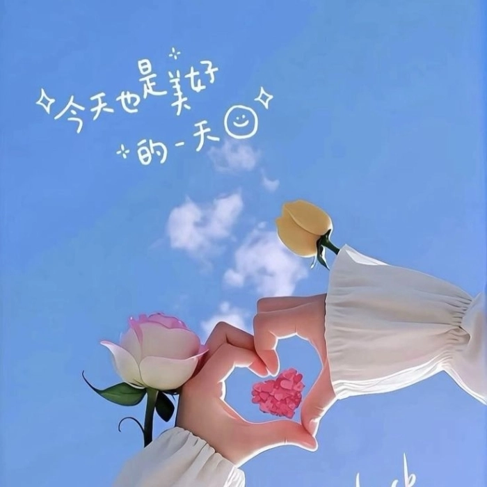 white flowers dp 