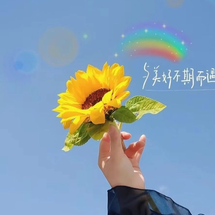 whatsapp dp flower images 