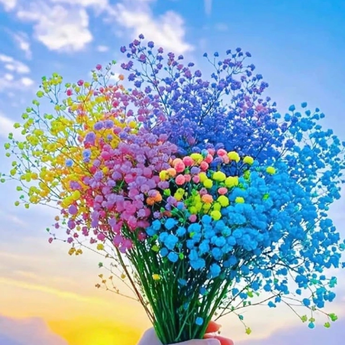 whatsapp flower dp 