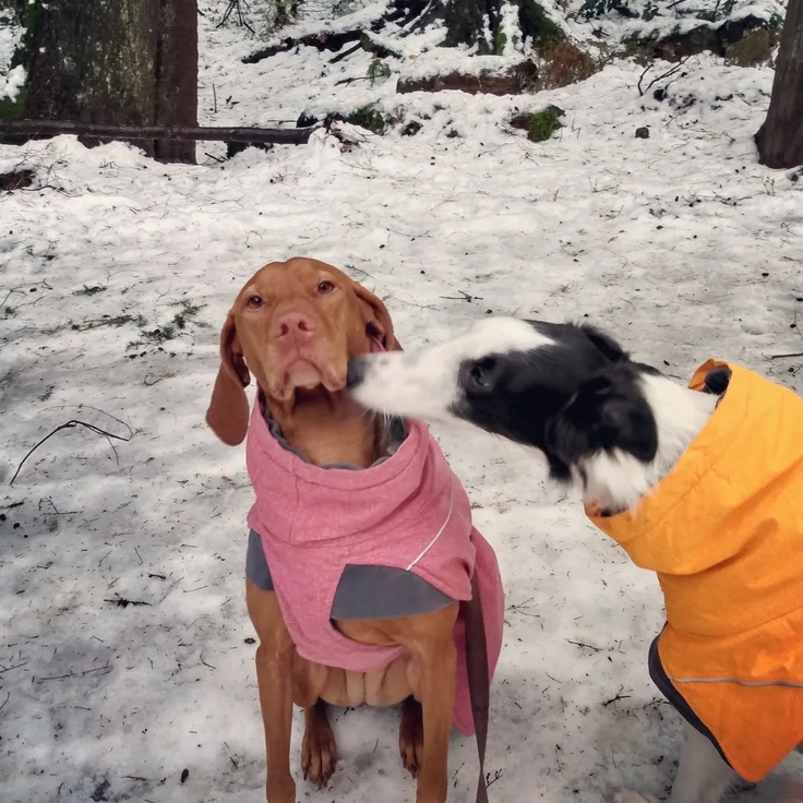 girl and boy friendship dp