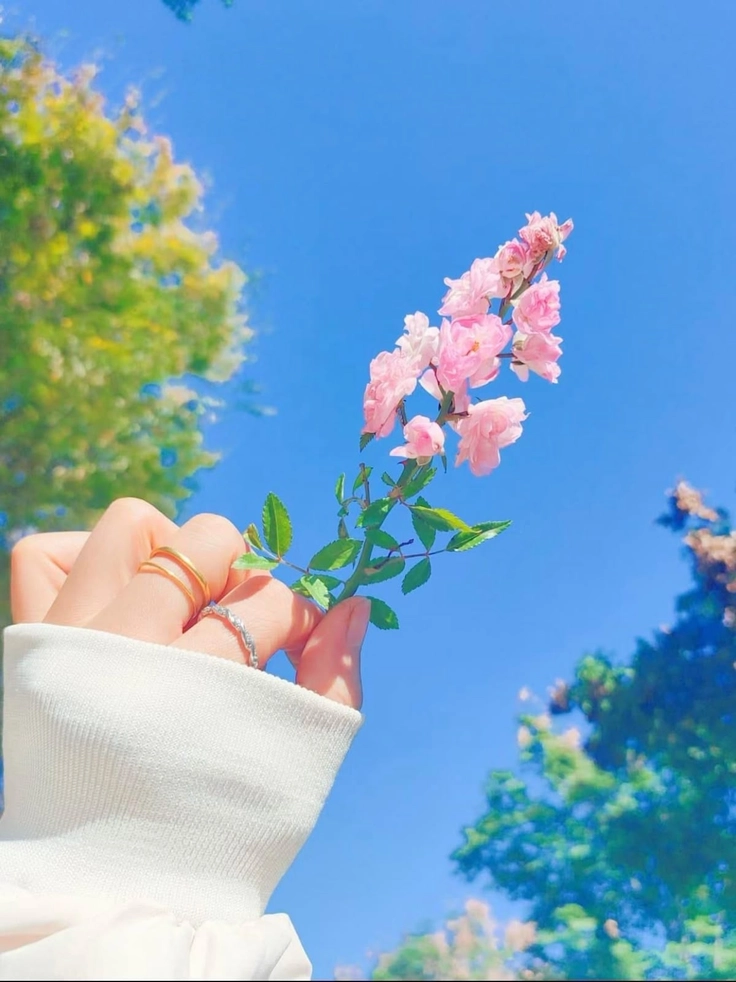 cute babies hands for dp 