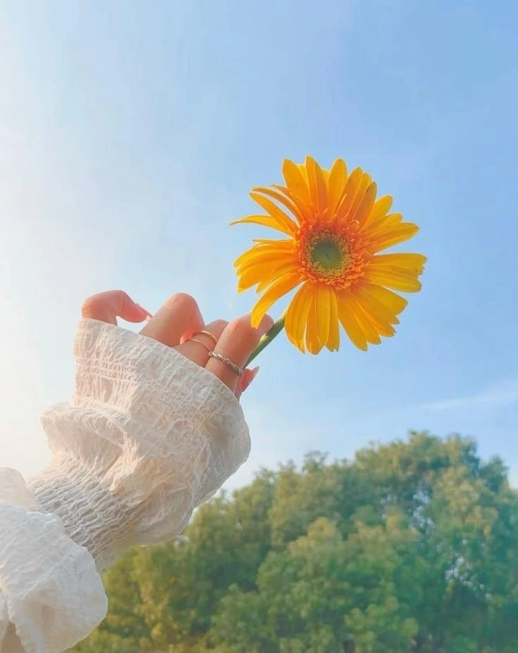 cute baby hand pic 