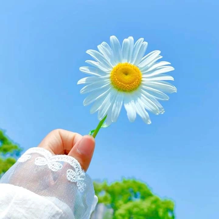 cute girl hand pic 