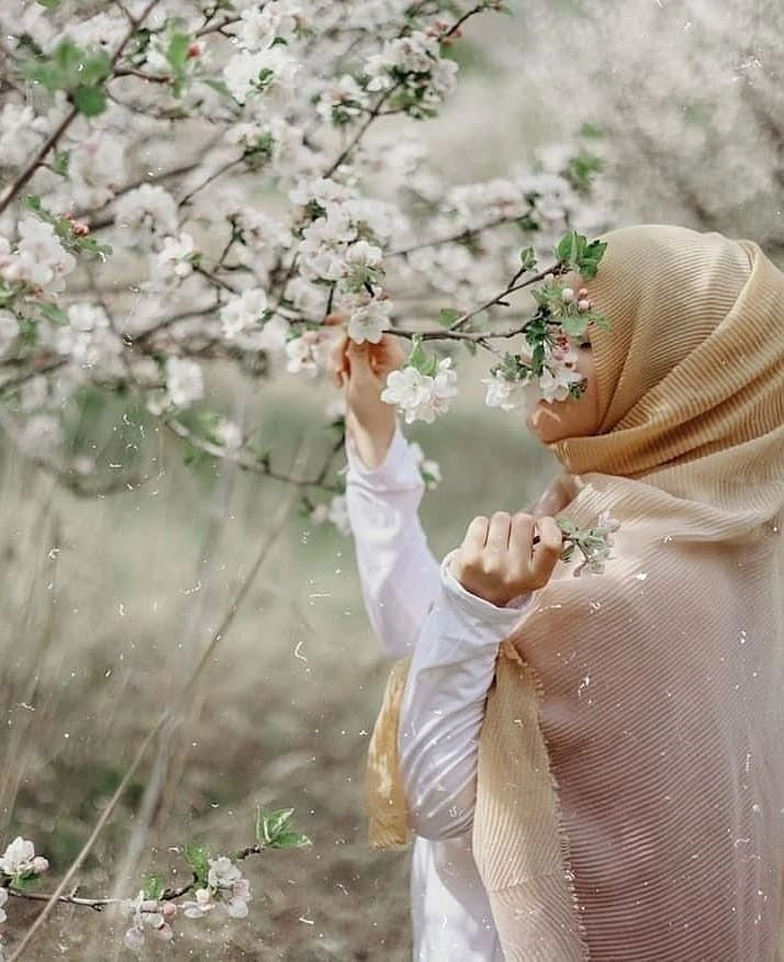 islamic quotes dp 