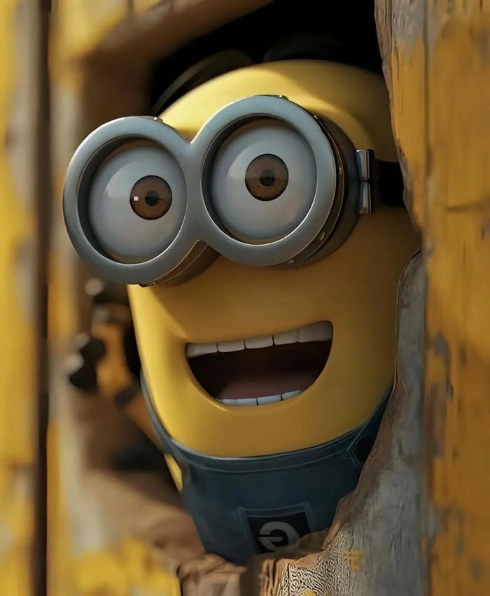 minion love dp 