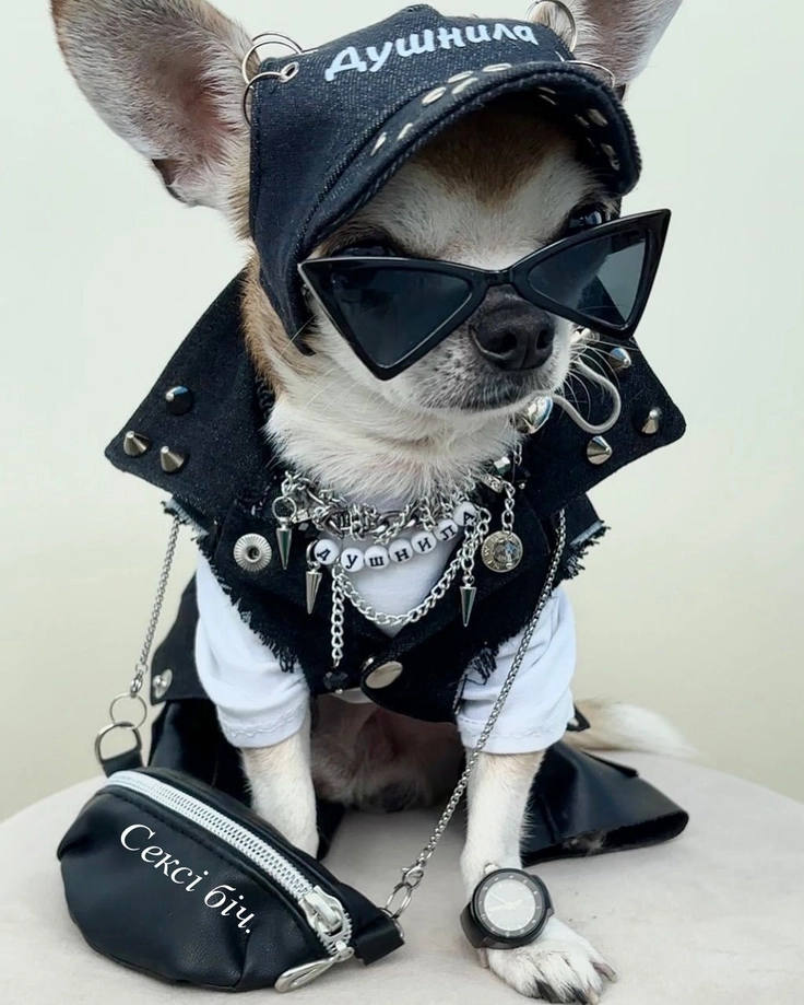baby puppy images 