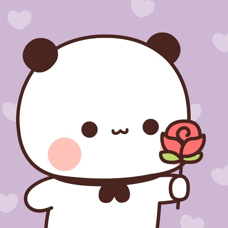 teddy bear pics for dp 