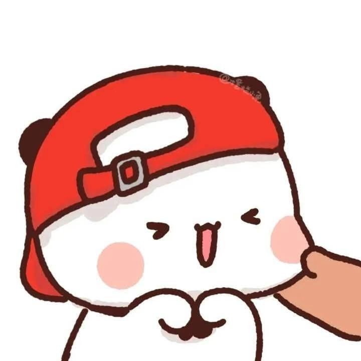 teddy images for dp 