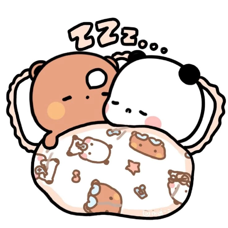 teddy bear real pic 