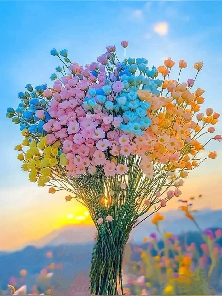 cute flower images dp