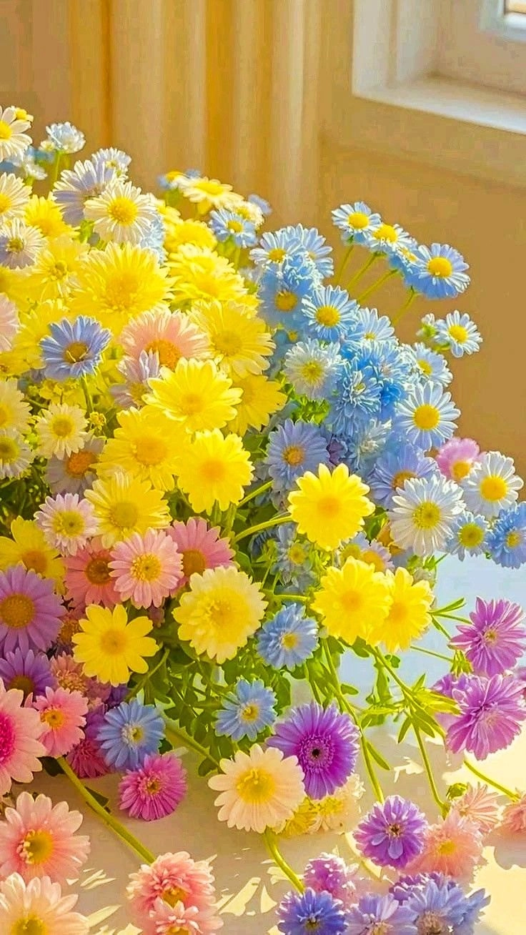 cute flowers hd dp