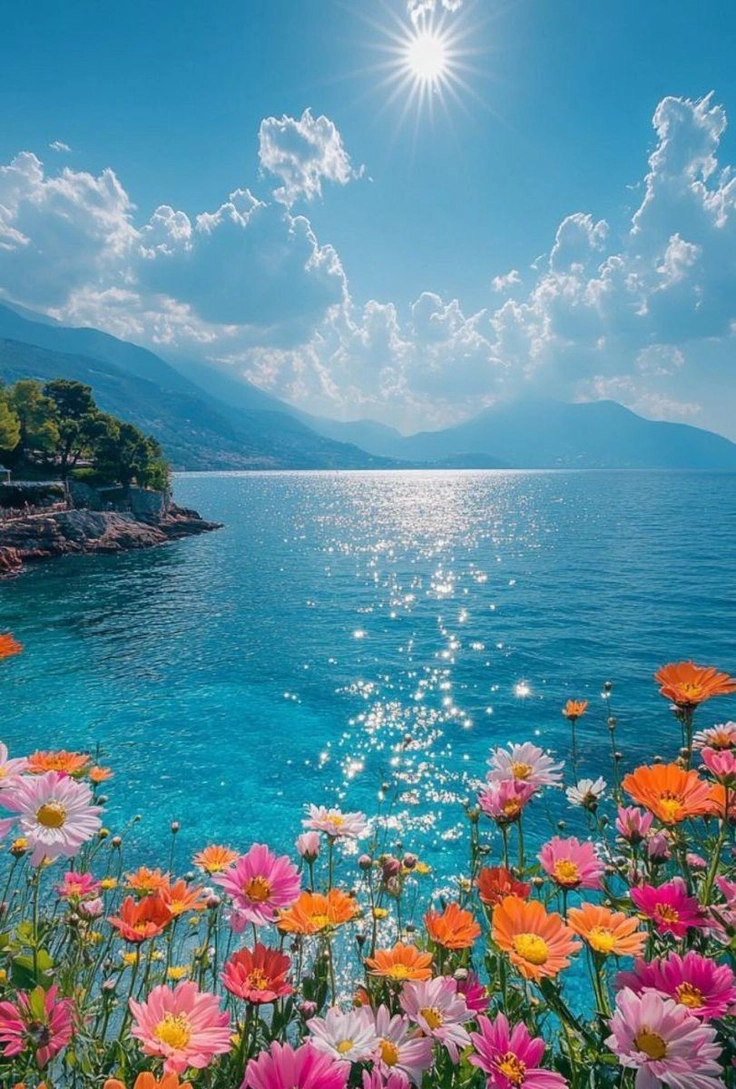 cute flowers for whatsapp dp