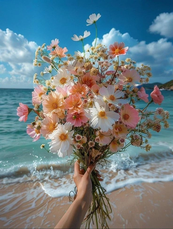 flowers dp photos