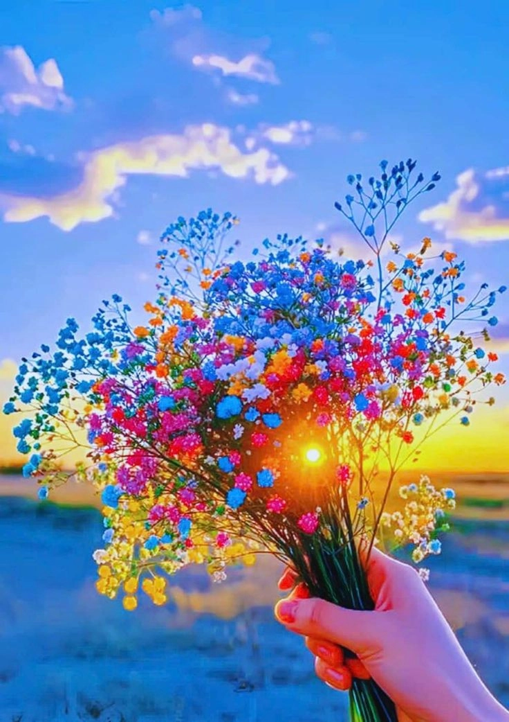flower pic for dp