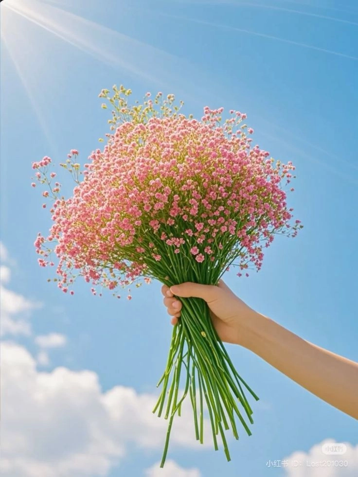 dp pictures flowers