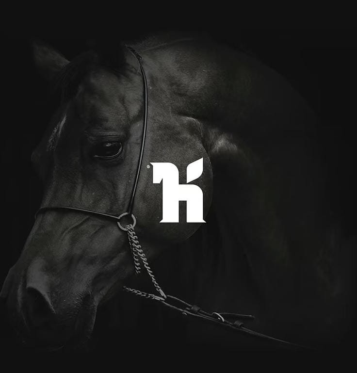 minimal h letter dp
