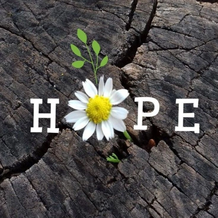 positive dp pics
