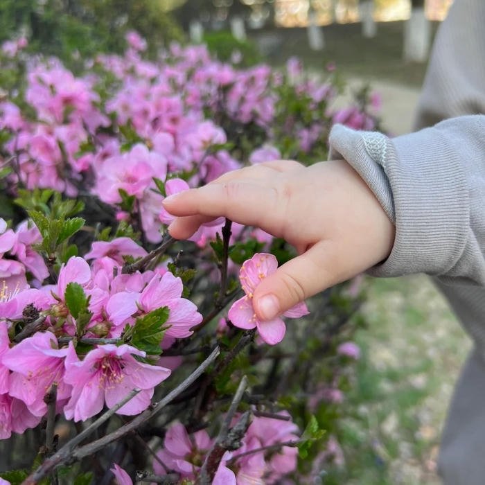 soft Cute Hand Pic for DP