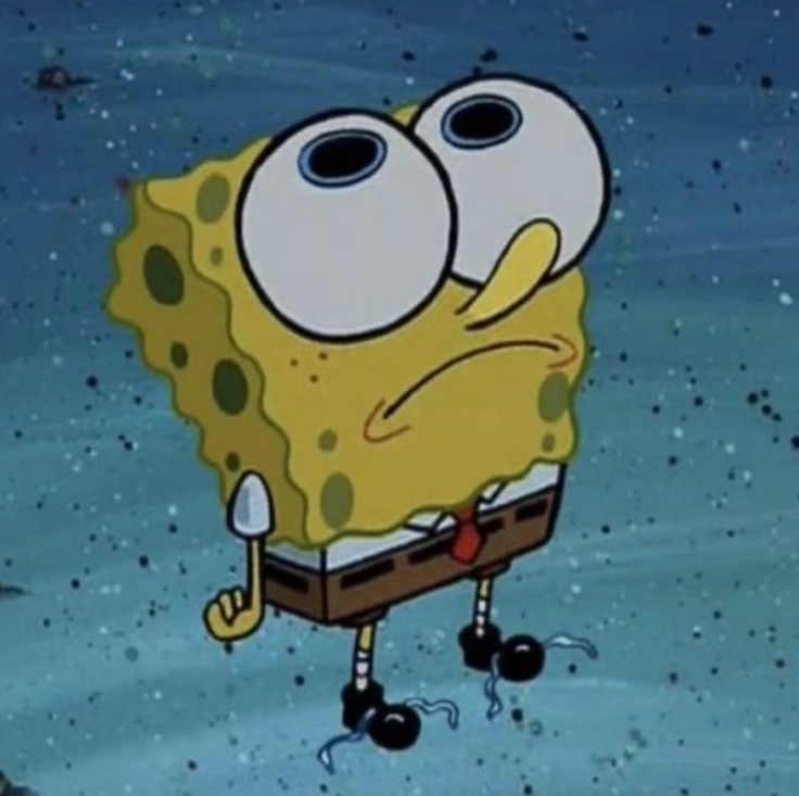 spongebob squarepants dp