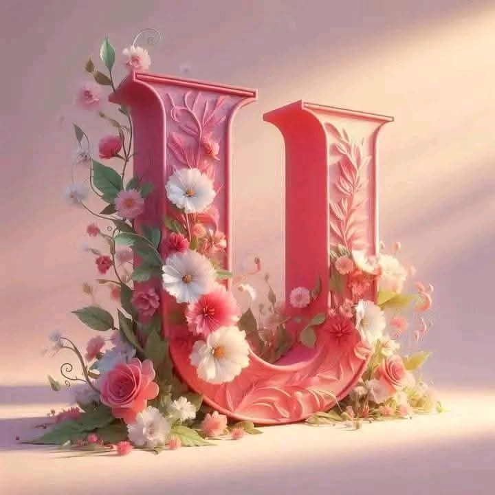 u letter pic for dp 