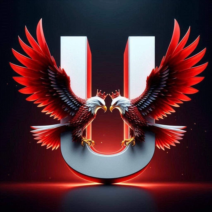 fancy u letter dp 