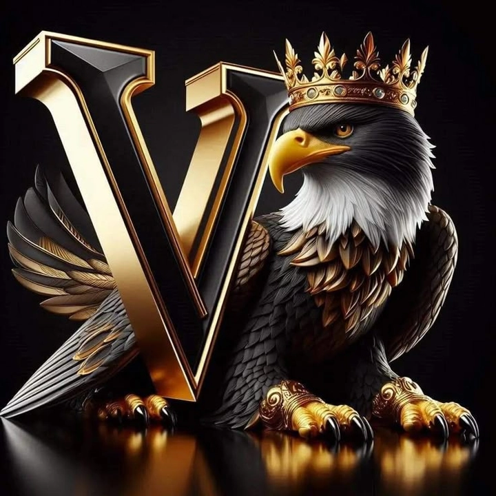v name whatsapp dp