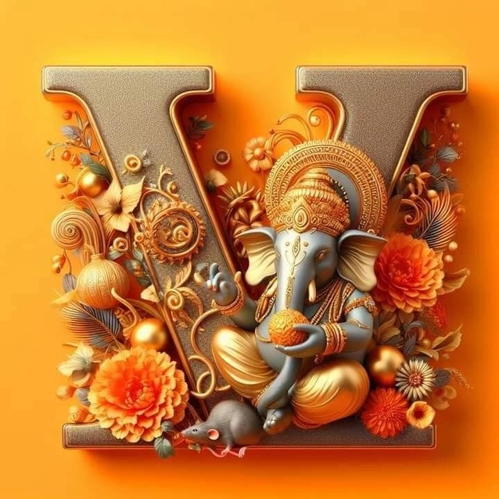 v m name dp