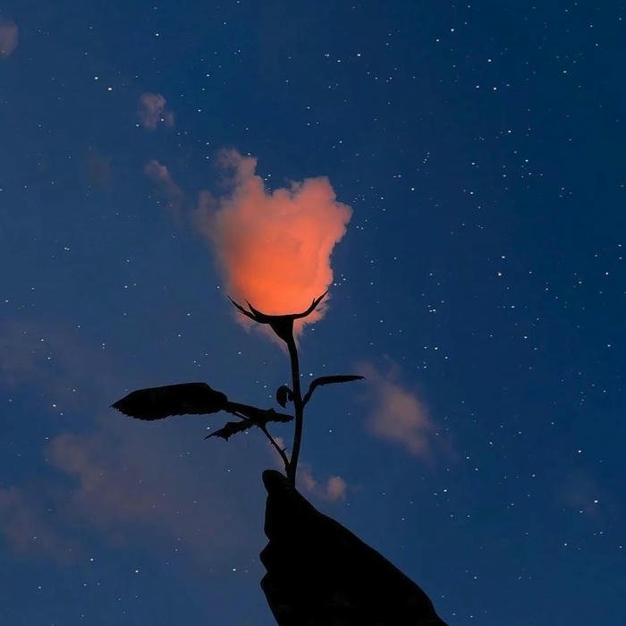 Aesthetic Pictures for DP vibe