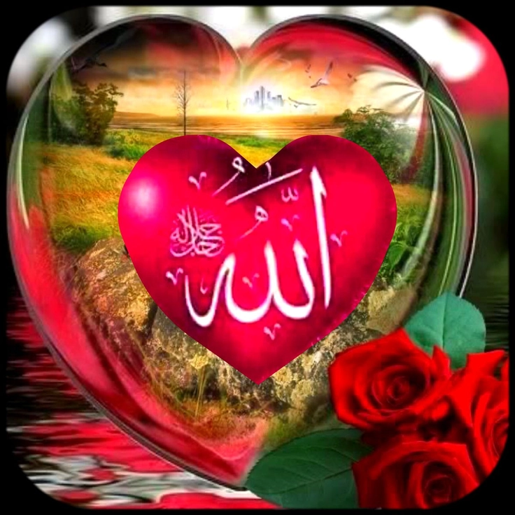 trending allah name dp