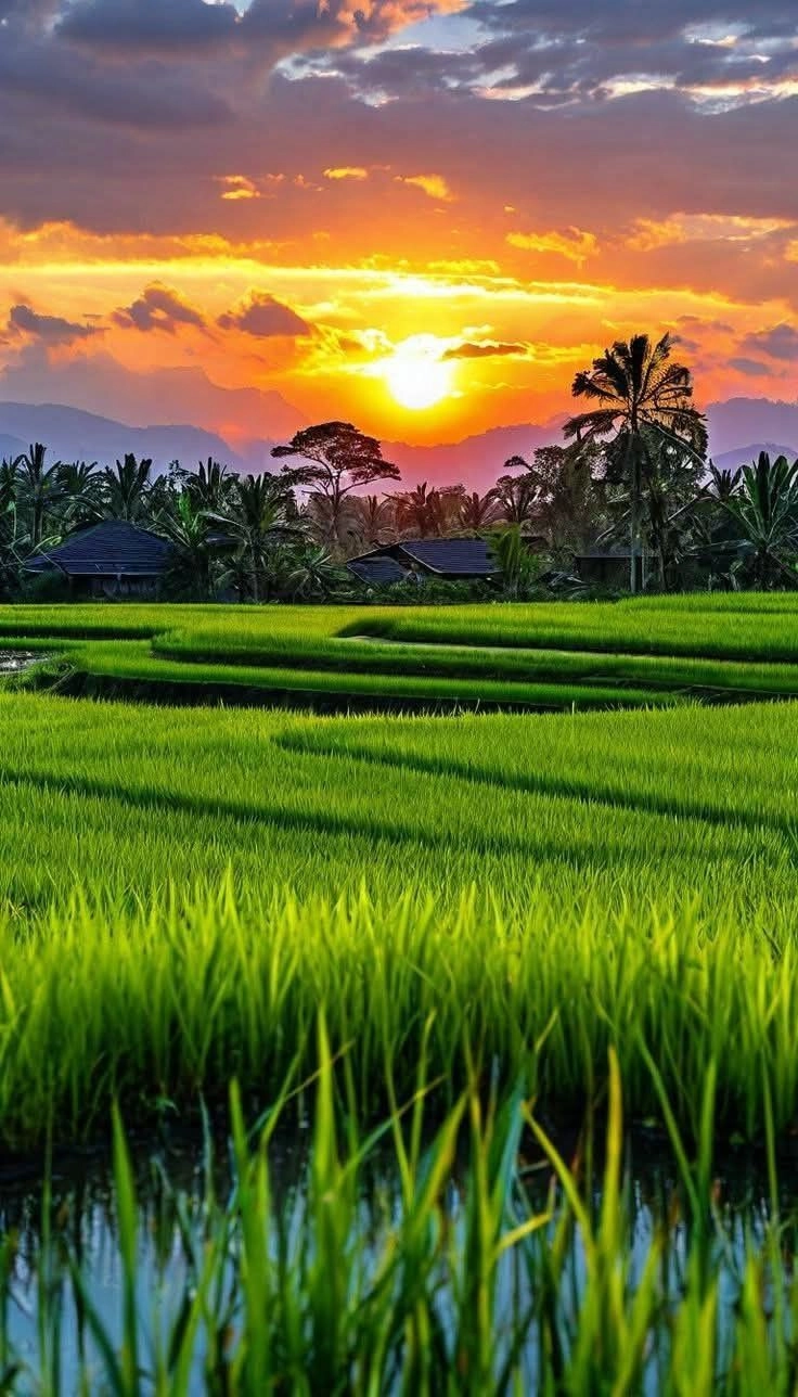 Beautiful Nature Sunset Images