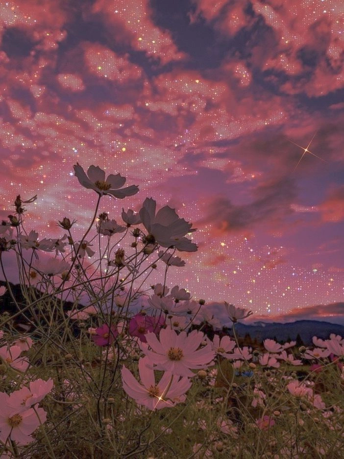 Beautiful Photos of Sunsets