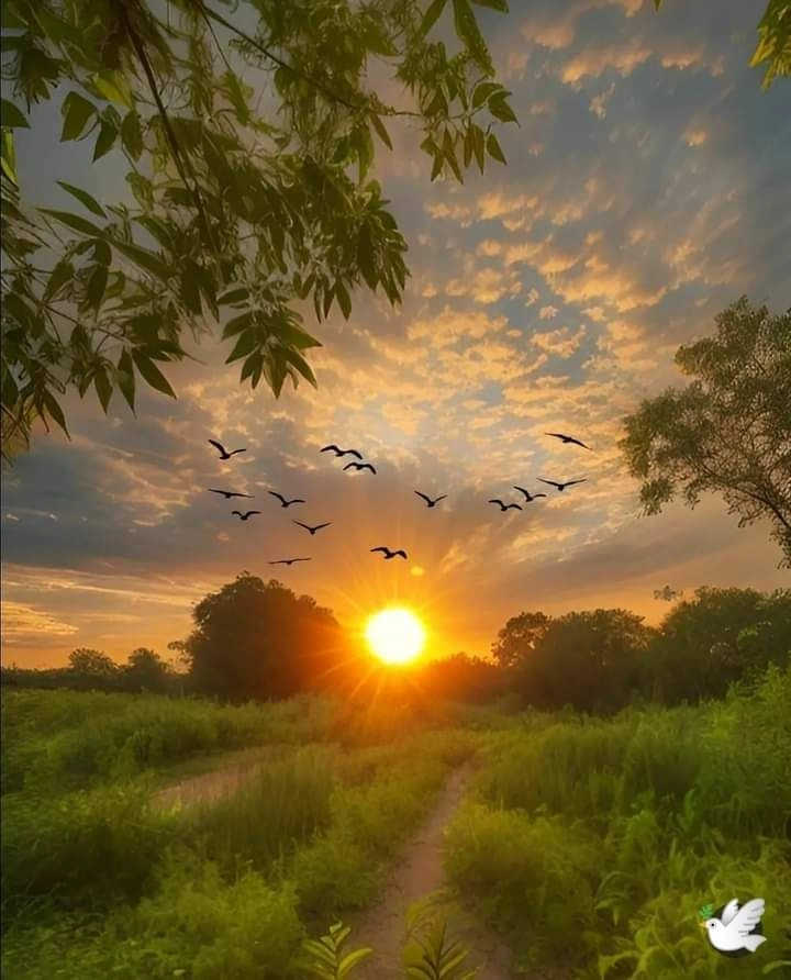 Beautiful Sunrise and Sunset Images