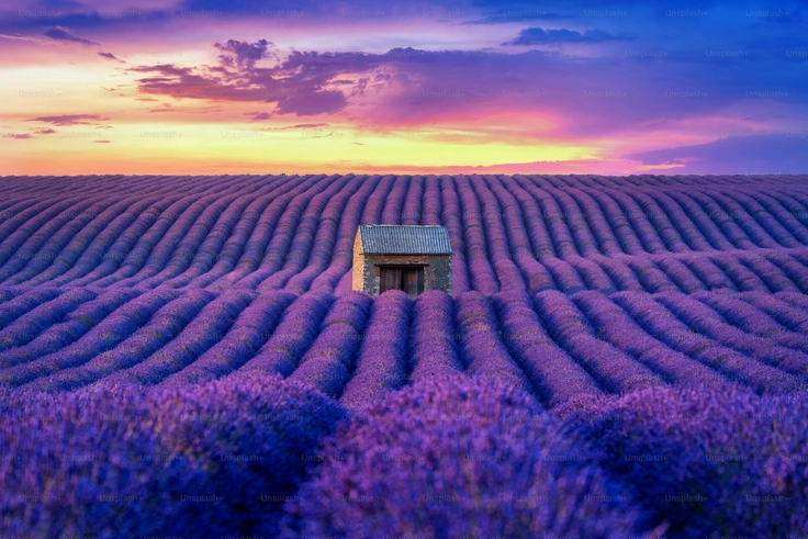 Beautiful Sunset Images with Quotes