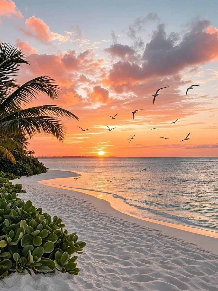 Beautiful Sunset Over the Ocean